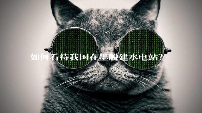 如何看待我国在墨脱建水电站？