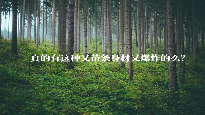 真的有这种又苗条身材又爆炸的么？