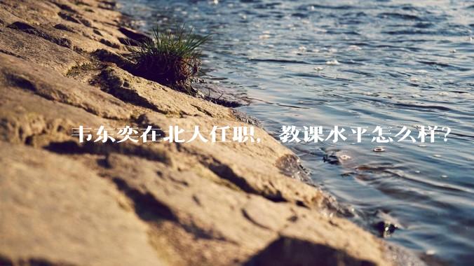 韦东奕在北大任职，教课水平怎么样？