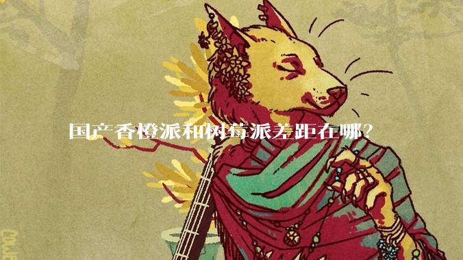 国产香橙派和树莓派差距在哪？