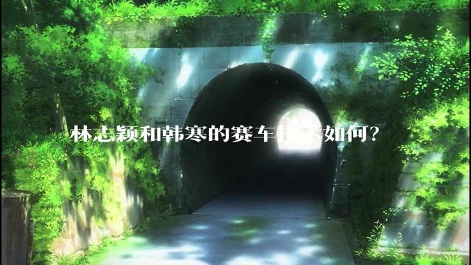 林志颖和韩寒的赛车技术如何？