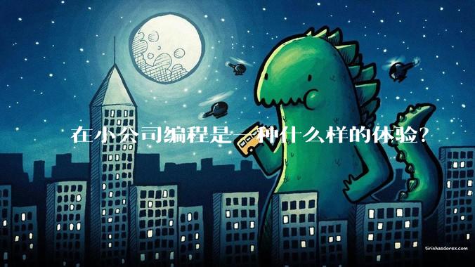 在小公司编程是一种什么样的体验？
